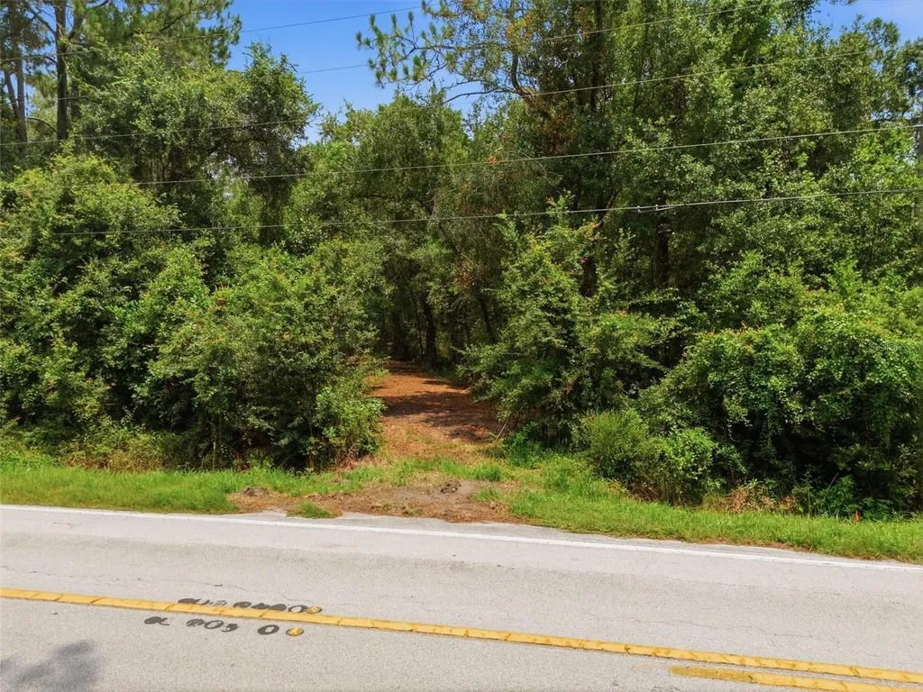 0 Old Dade City Road Kathleen FL 33849