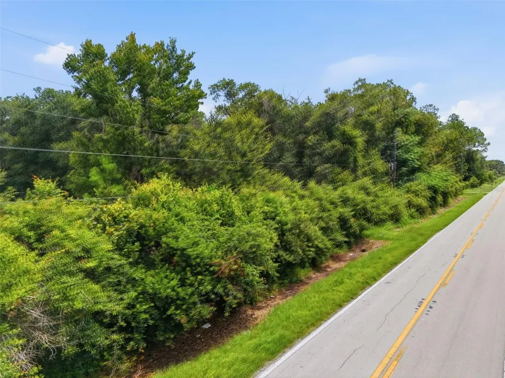 0 Old Dade City Road Kathleen FL 33849