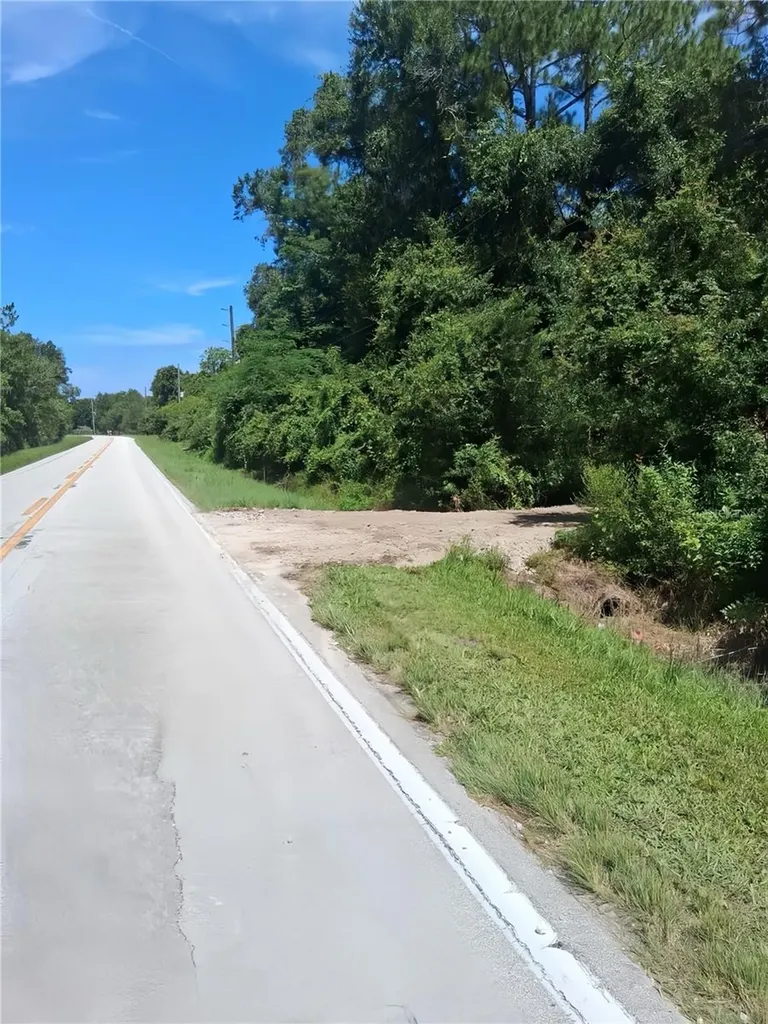 0 Old Dade City Road Kathleen FL 33849