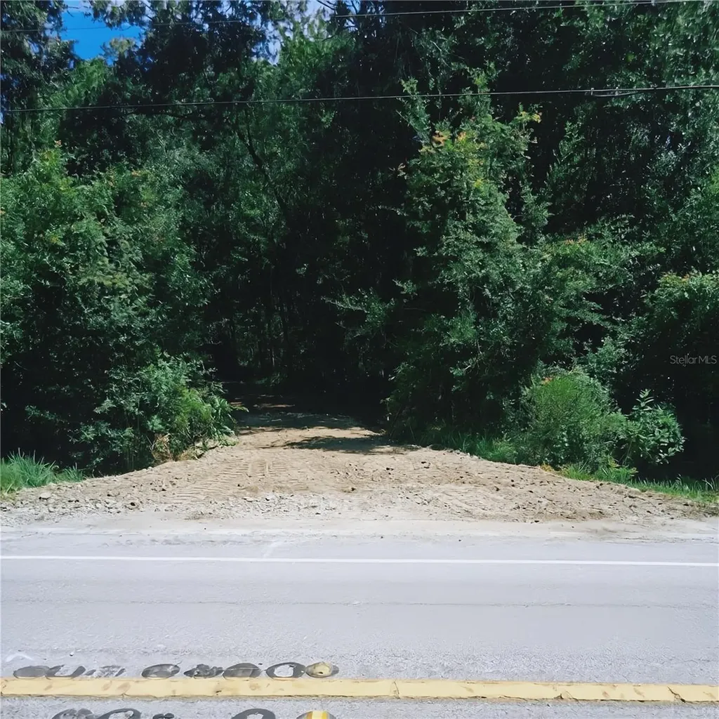 0 Old Dade City Road Kathleen FL 33849