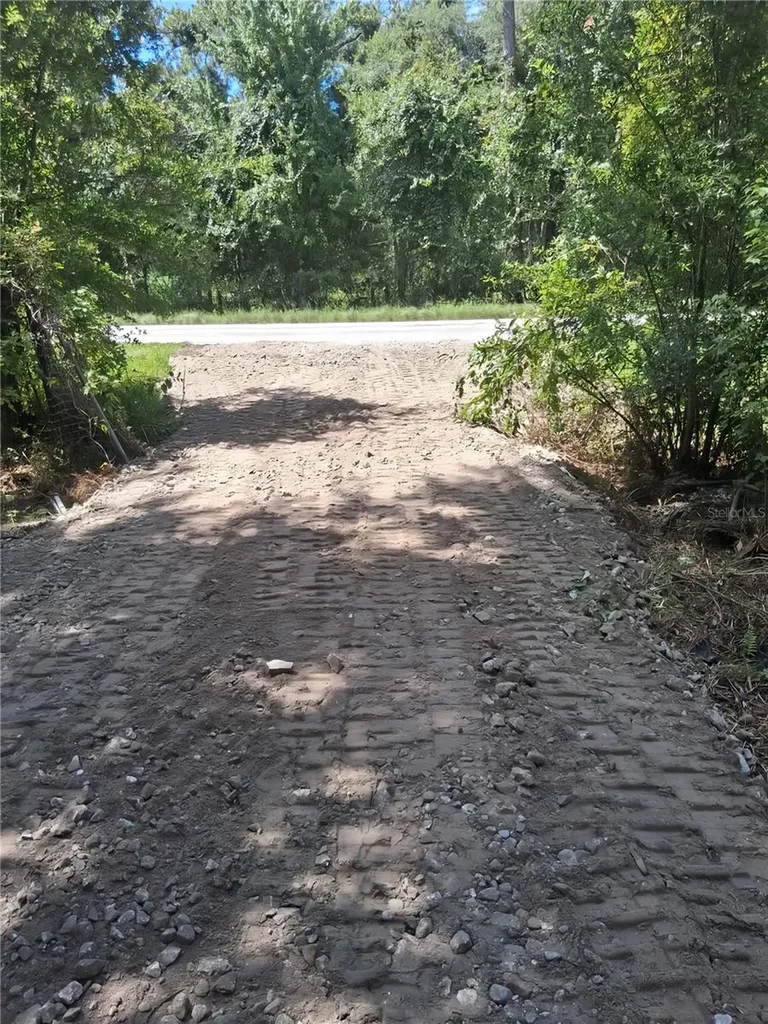 0 Old Dade City Road Kathleen FL 33849