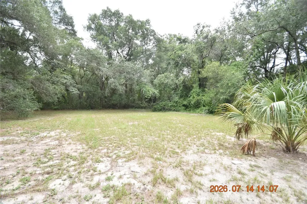 6560 W Avocado Street Crystal River FL 34429