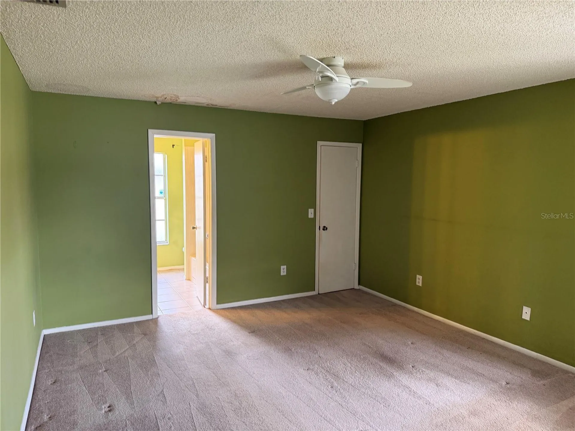 7131 Hollowell Drive Tampa FL 33634