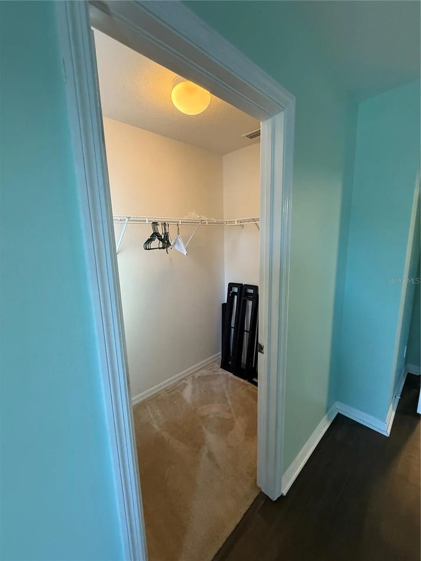 5032 White Sanderling Court Tampa FL 33619