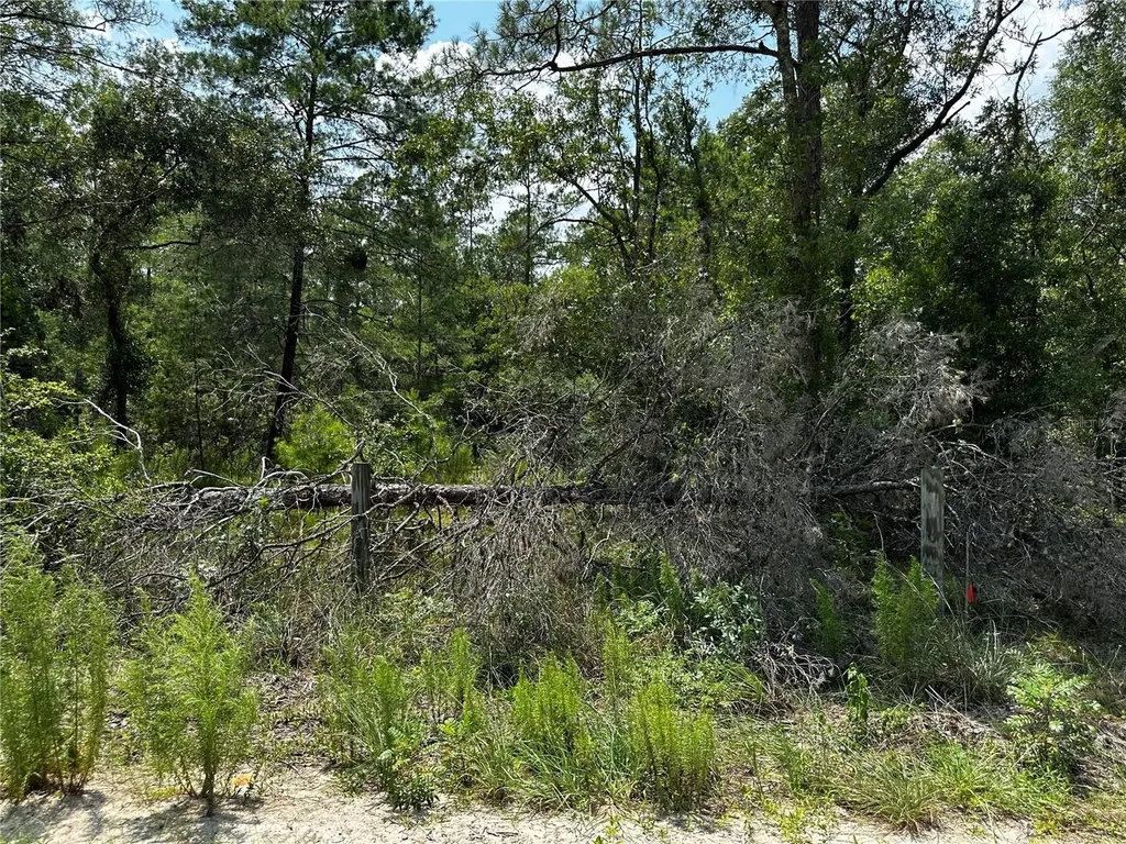 6270 NE 139th Avenue Williston FL 32696
