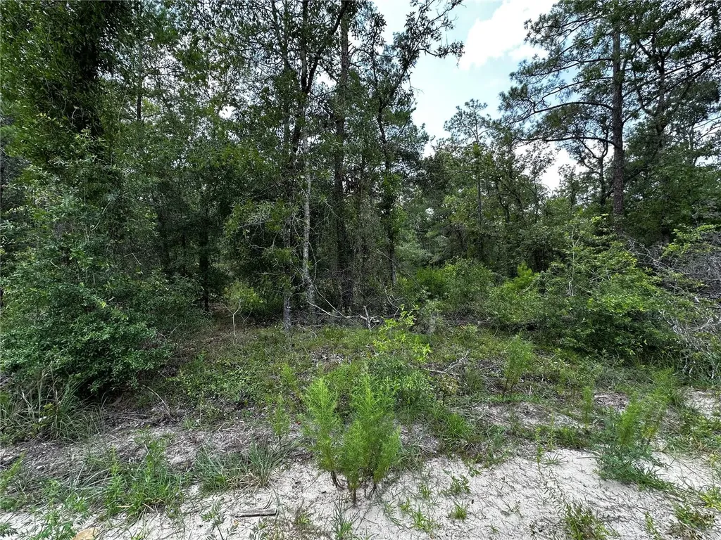 6270 NE 139th Avenue Williston FL 32696