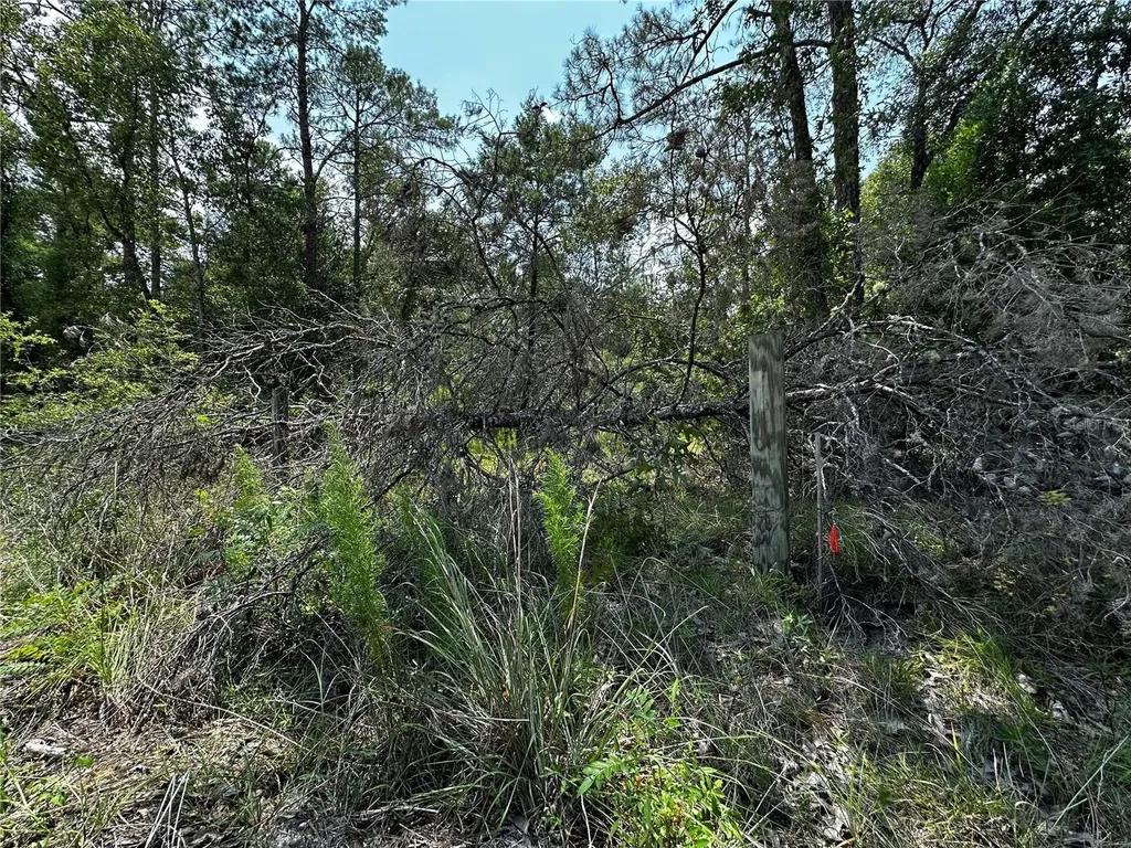 6270 NE 139th Avenue Williston FL 32696