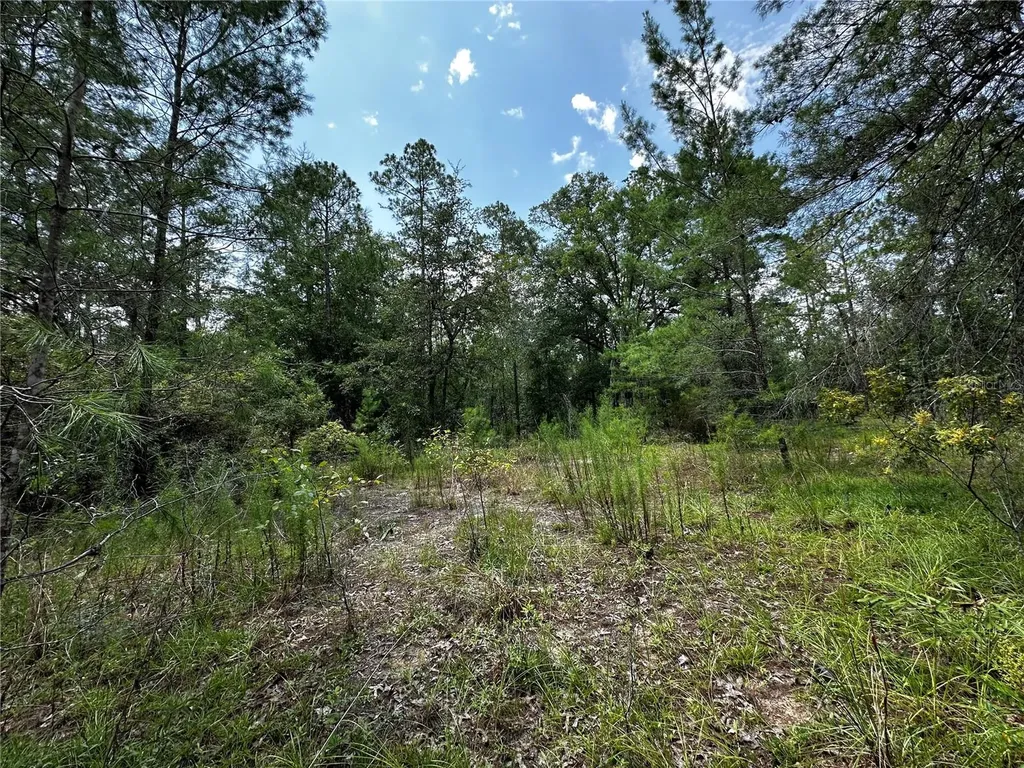6270 NE 139th Avenue Williston FL 32696