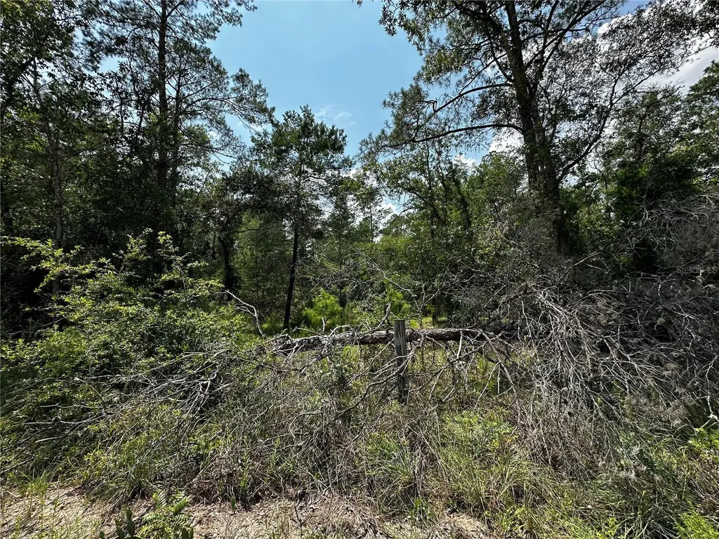 6270 NE 139th Avenue Williston FL 32696