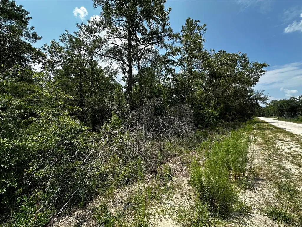 6270 NE 139th Avenue Williston FL 32696