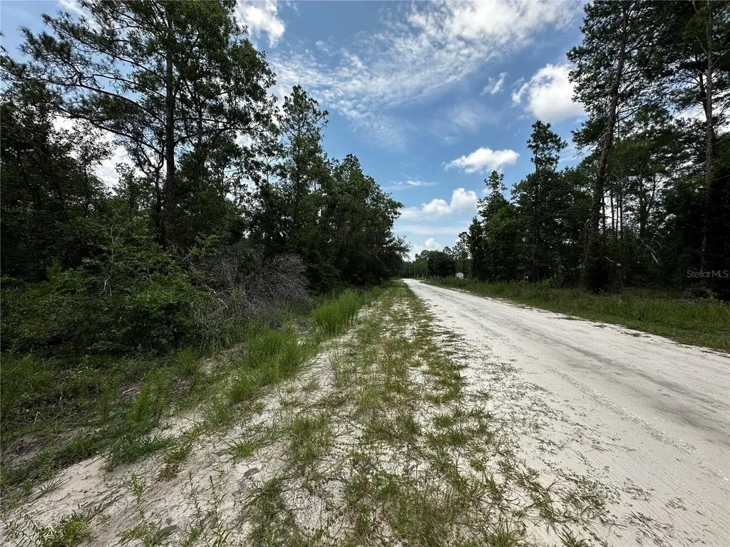 6270 NE 139th Avenue Williston FL 32696