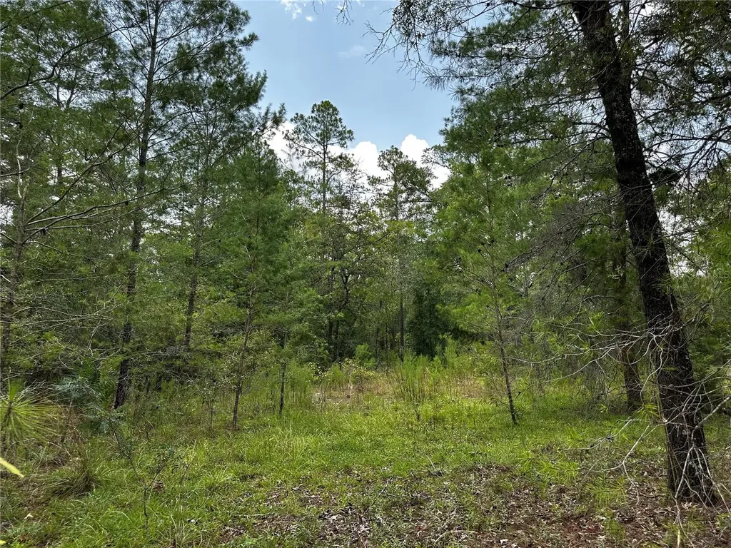 6270 NE 139th Avenue Williston FL 32696