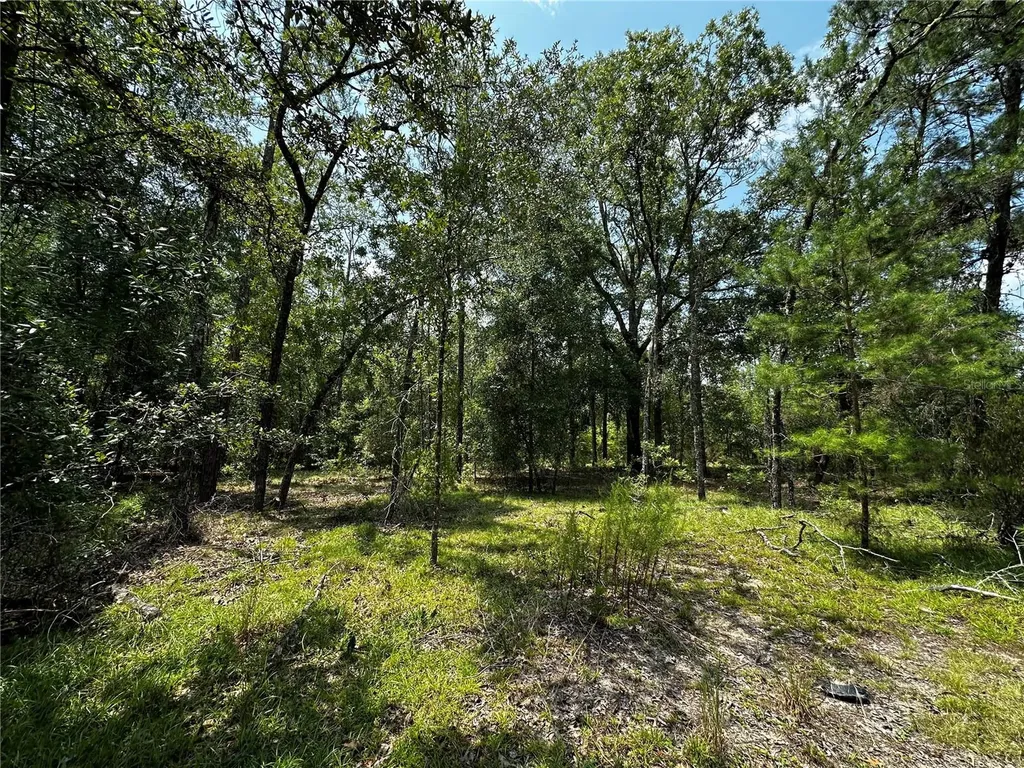 6270 NE 139th Avenue Williston FL 32696