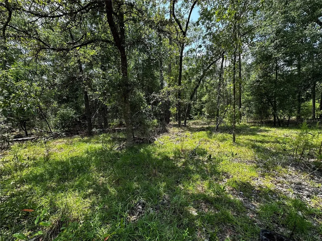 6270 NE 139th Avenue Williston FL 32696