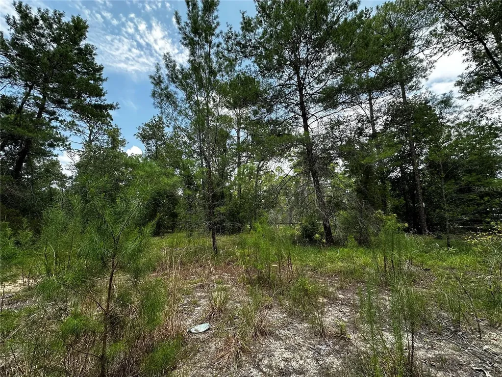 6270 NE 139th Avenue Williston FL 32696