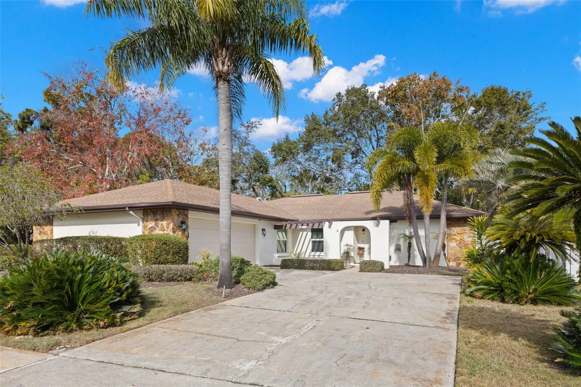 3420 Hyde Park Drive Clearwater FL 33761