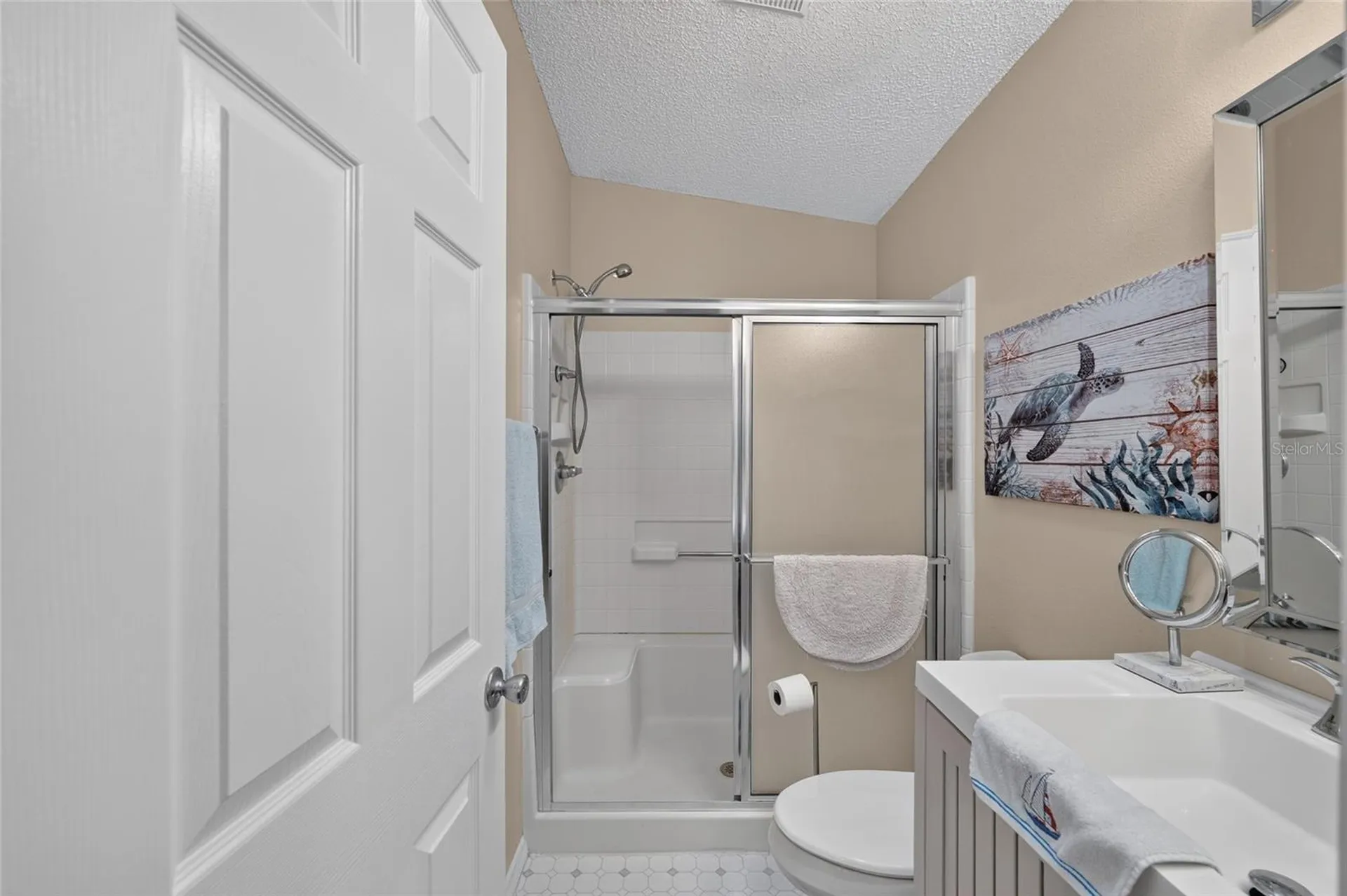 2673 Suffolk Street The Villages FL 32162