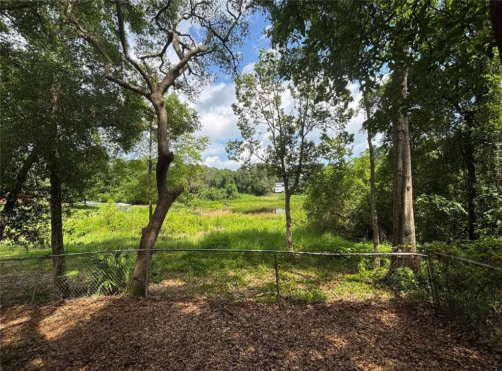 18225 SE 22nd Place Silver Springs FL 34488