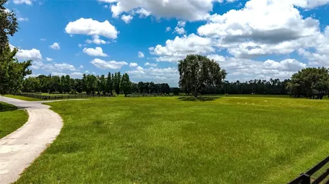 SE 159th Lane Summerfield FL 34491