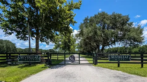 SE 159th Lane Summerfield FL 34491