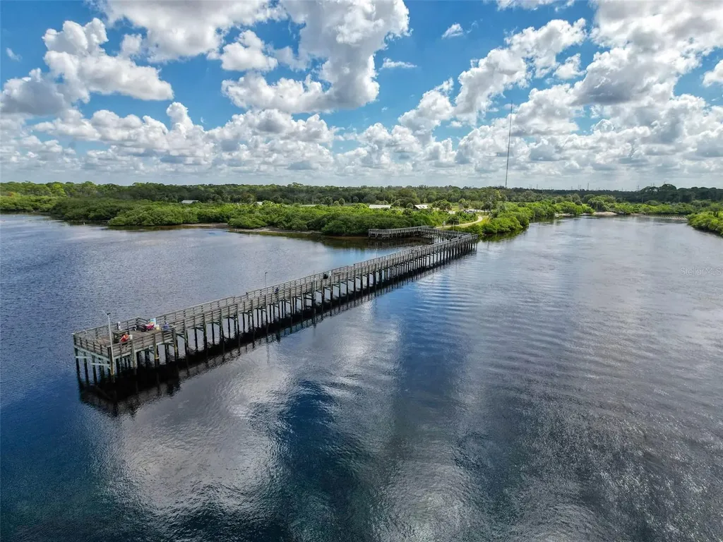 2542 Sandy Hill Court Holiday FL 34691