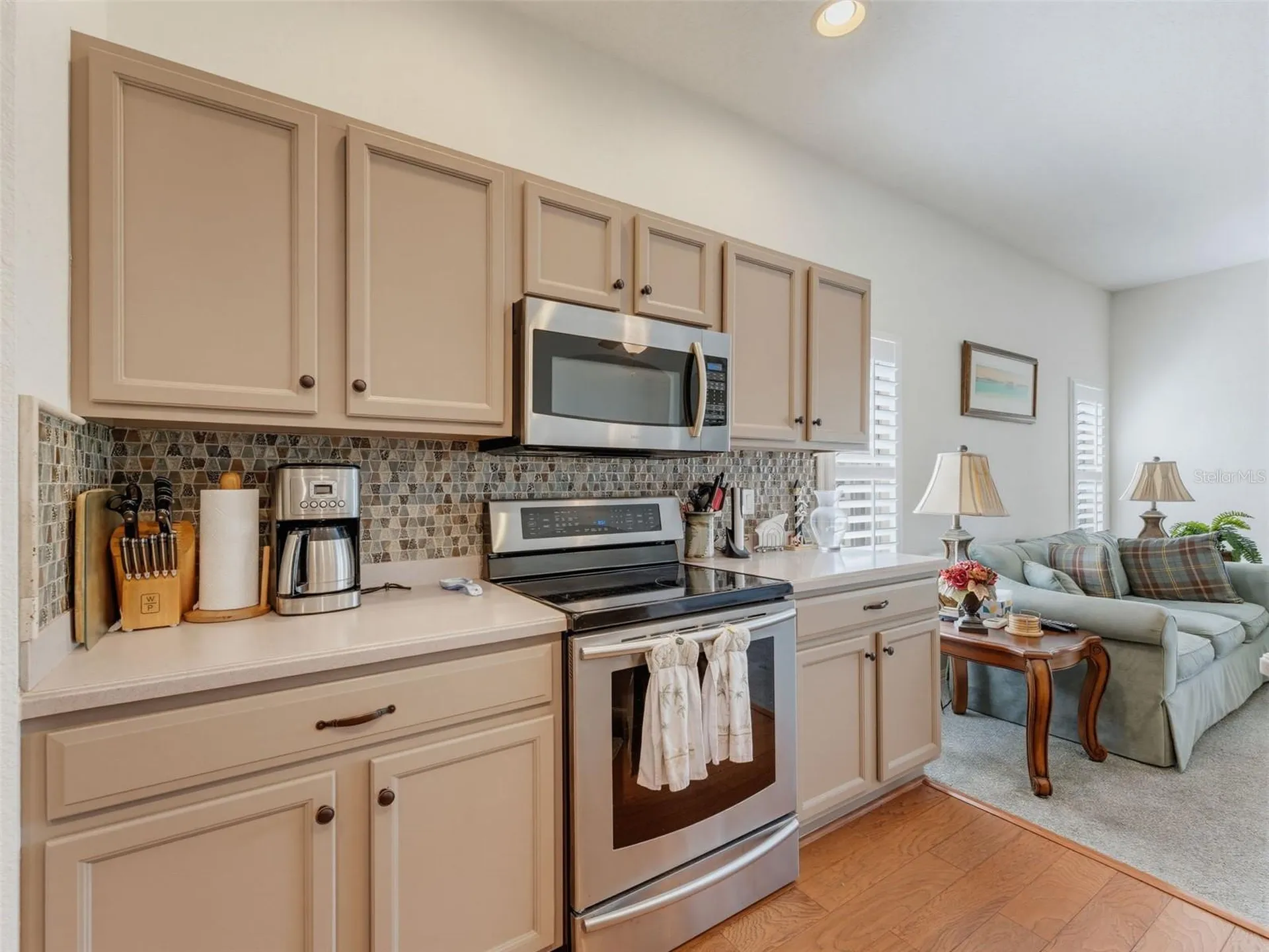 2542 Sandy Hill Court Holiday FL 34691