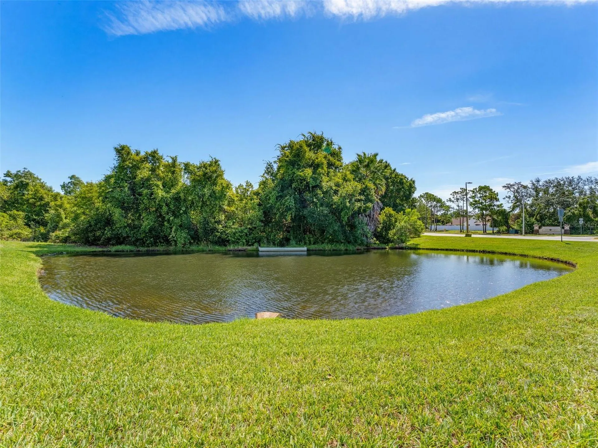 2542 Sandy Hill Court Holiday FL 34691