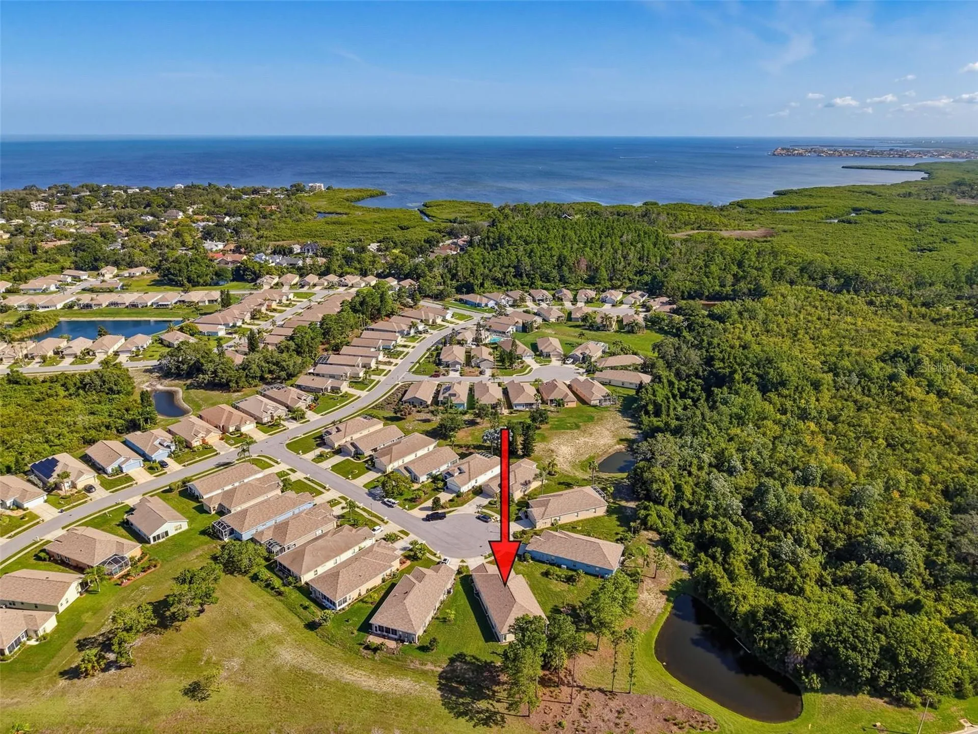 2542 Sandy Hill Court Holiday FL 34691