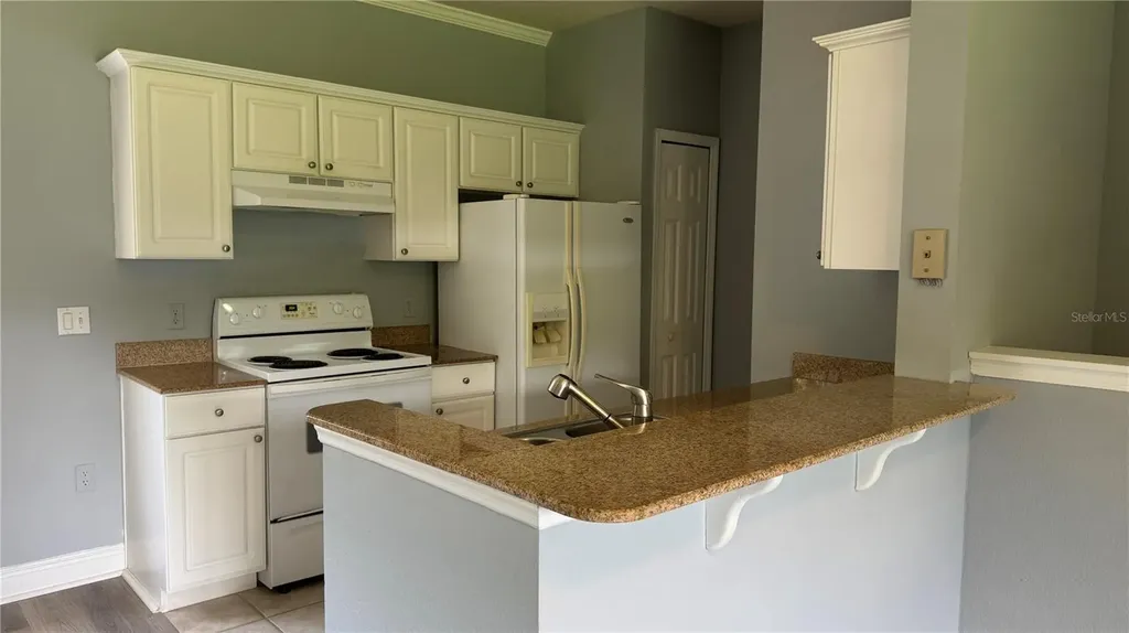 234 Southern Pecan Circle Winter Garden FL 34787