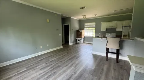 234 Southern Pecan Circle Winter Garden FL 34787