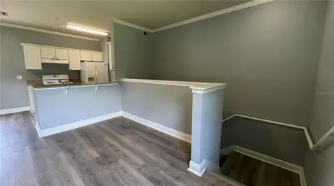 234 Southern Pecan Circle Winter Garden FL 34787