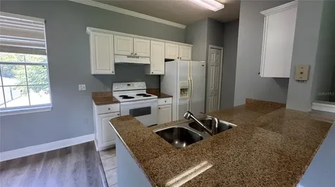 234 Southern Pecan Circle Winter Garden FL 34787