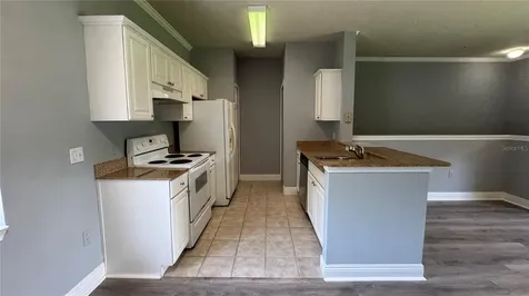 234 Southern Pecan Circle Winter Garden FL 34787