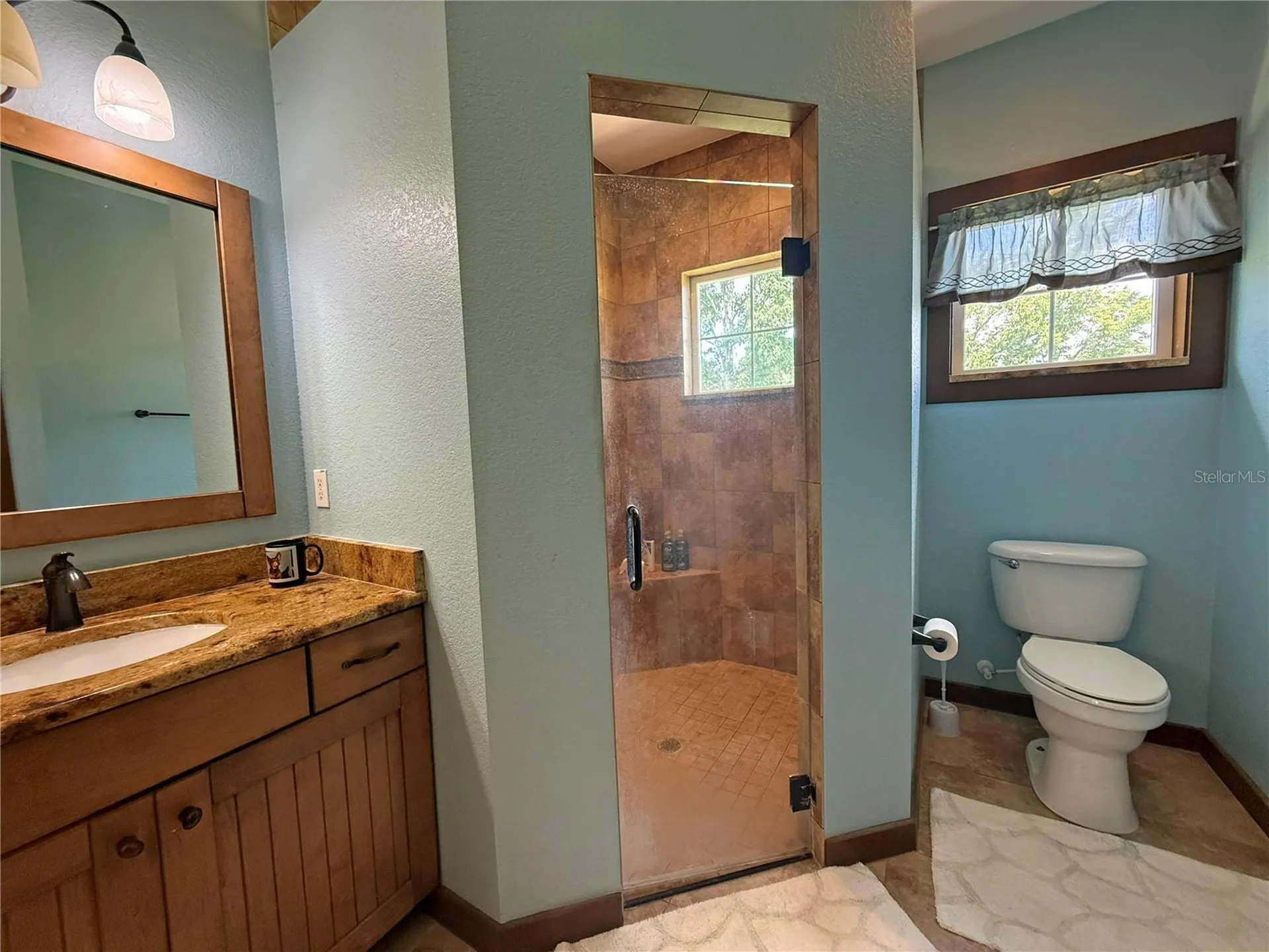 11691 SW 52nd Avenue Ocala FL 34476
