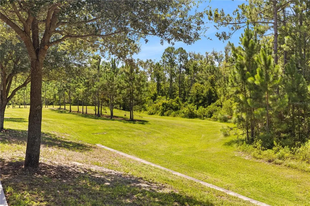10509 Spring Arbor Lane Winter Garden FL 34787