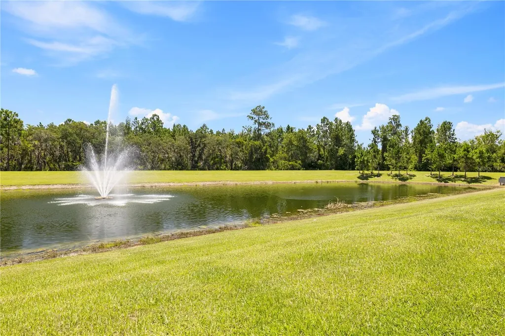10509 Spring Arbor Lane Winter Garden FL 34787