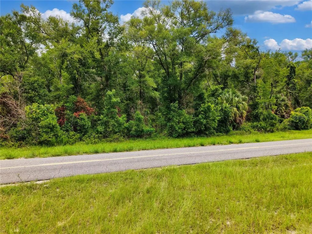 000 NE 410th Avenue Old Town FL 32680