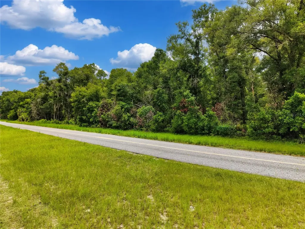 000 NE 410th Avenue Old Town FL 32680