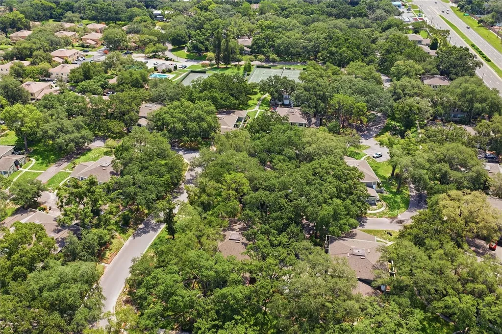 6214 Dewdrop Way Temple Terrace FL 33617