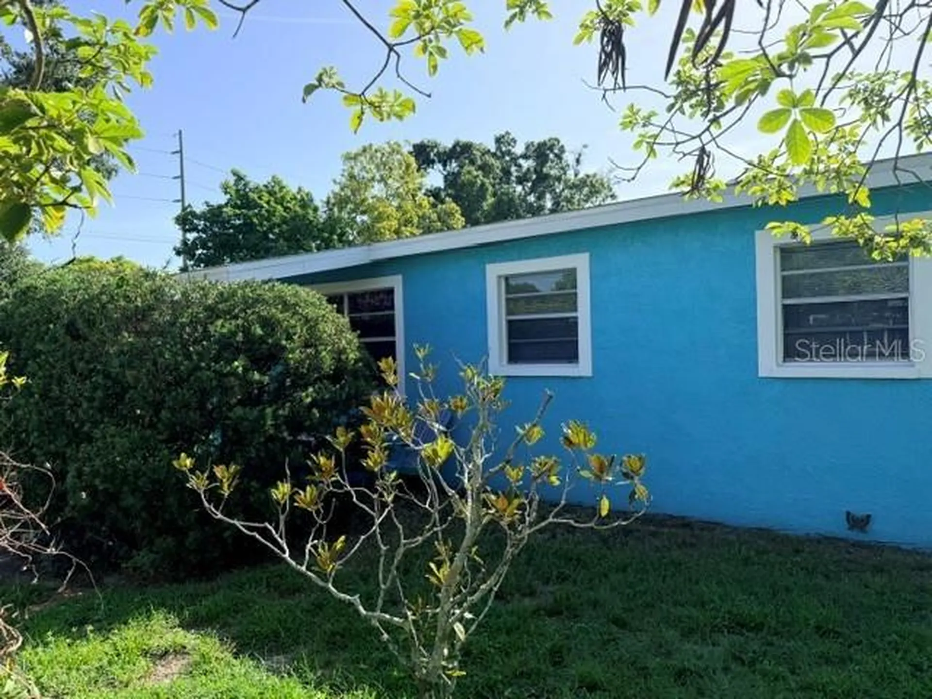 7225 N Grady Avenue Tampa FL 33614