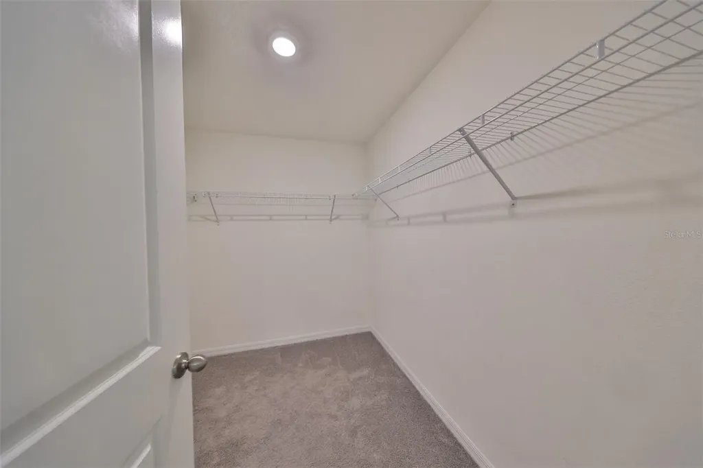 16782 Carlton Pond Street Wimauma FL 33598