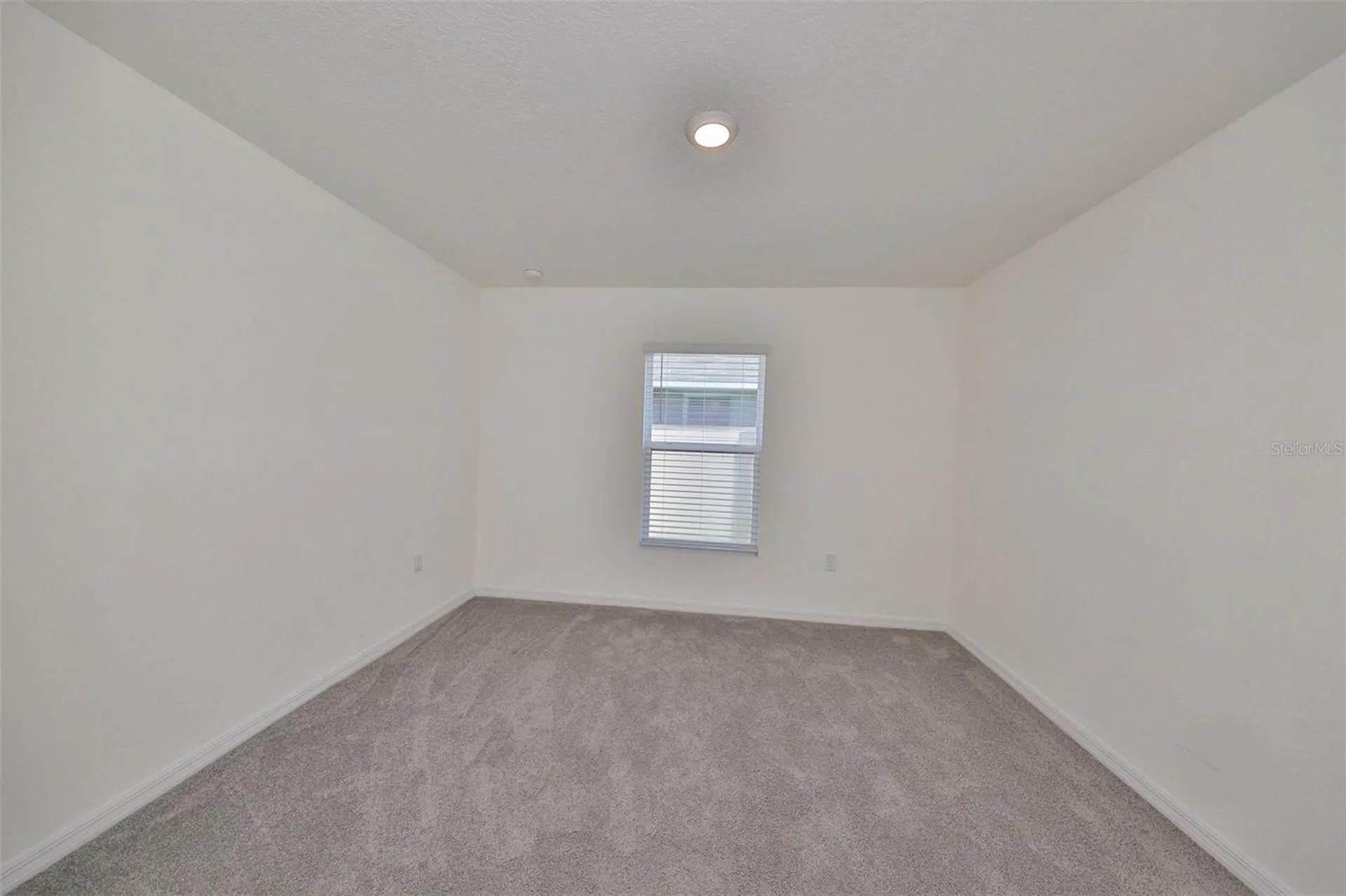 16782 Carlton Pond Street Wimauma FL 33598