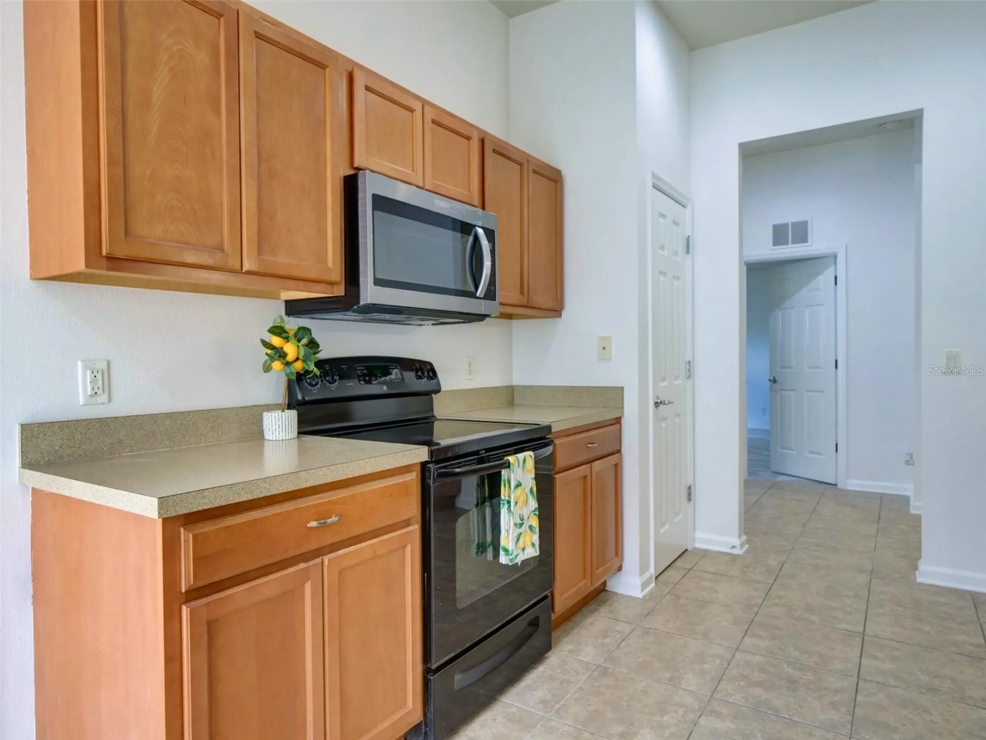 2972 Santa Maria Avenue Clermont FL 34715