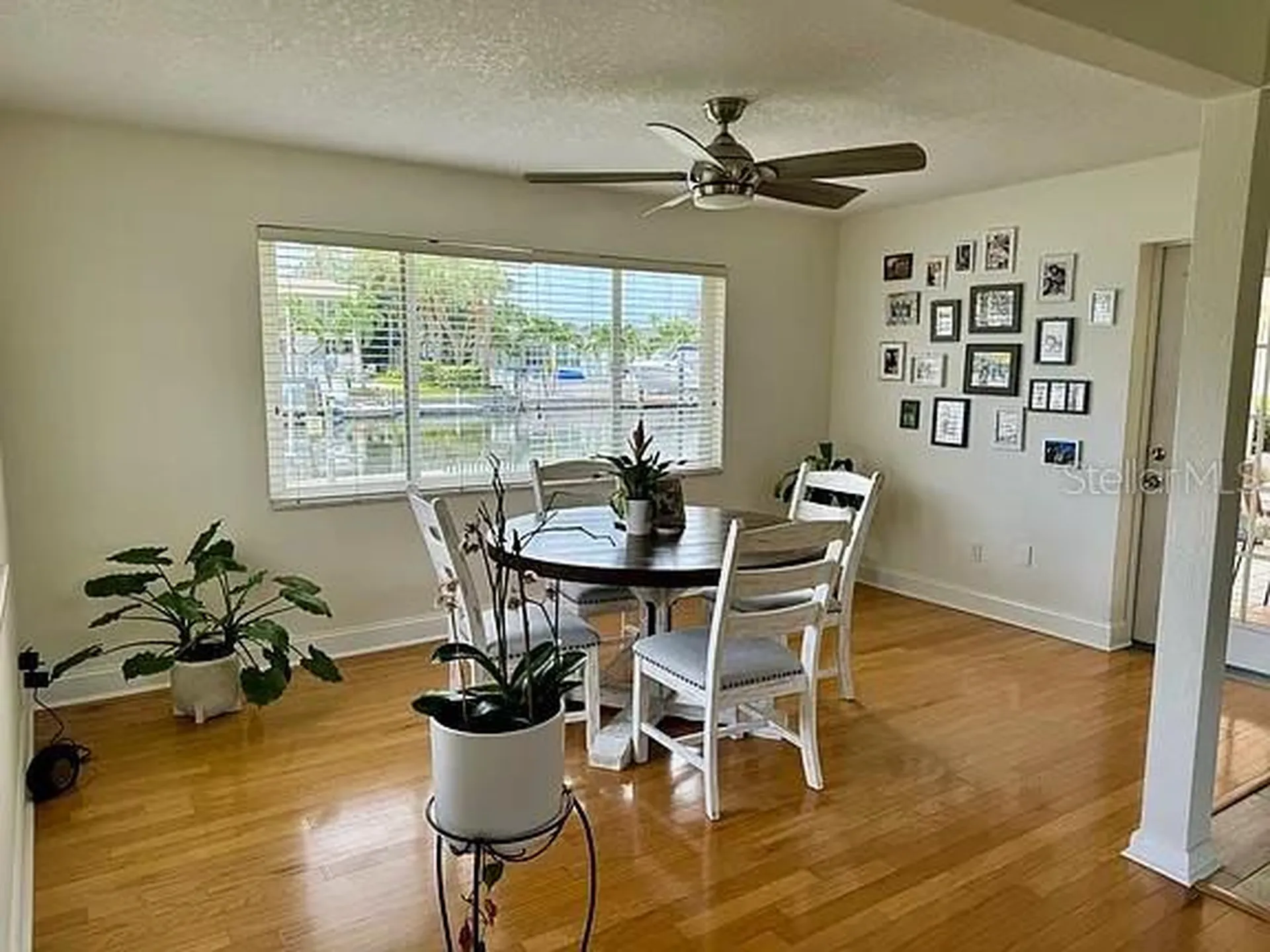 4052 14th Way NE St Petersburg FL 33703