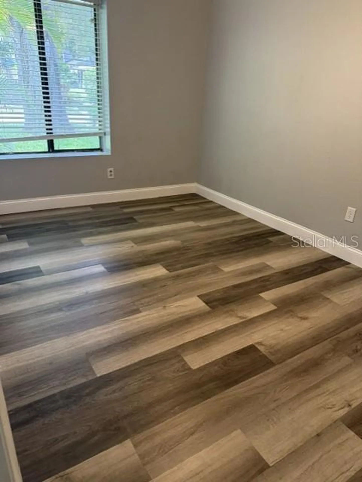 2857 Cinnamon Bear Trail Palm Harbor FL 34684