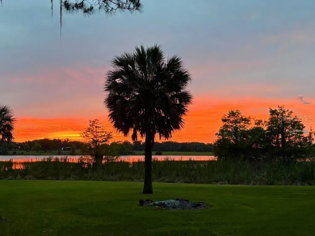 39411 County Road 439 Umatilla FL 32784