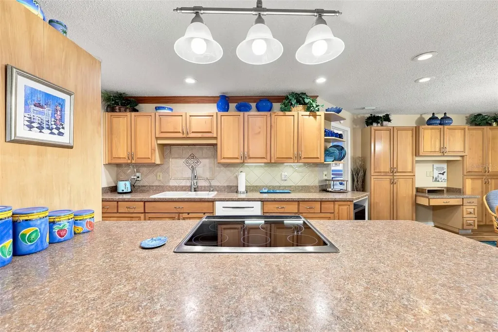 1002 El Rancho Drive Sun City Center FL 33573