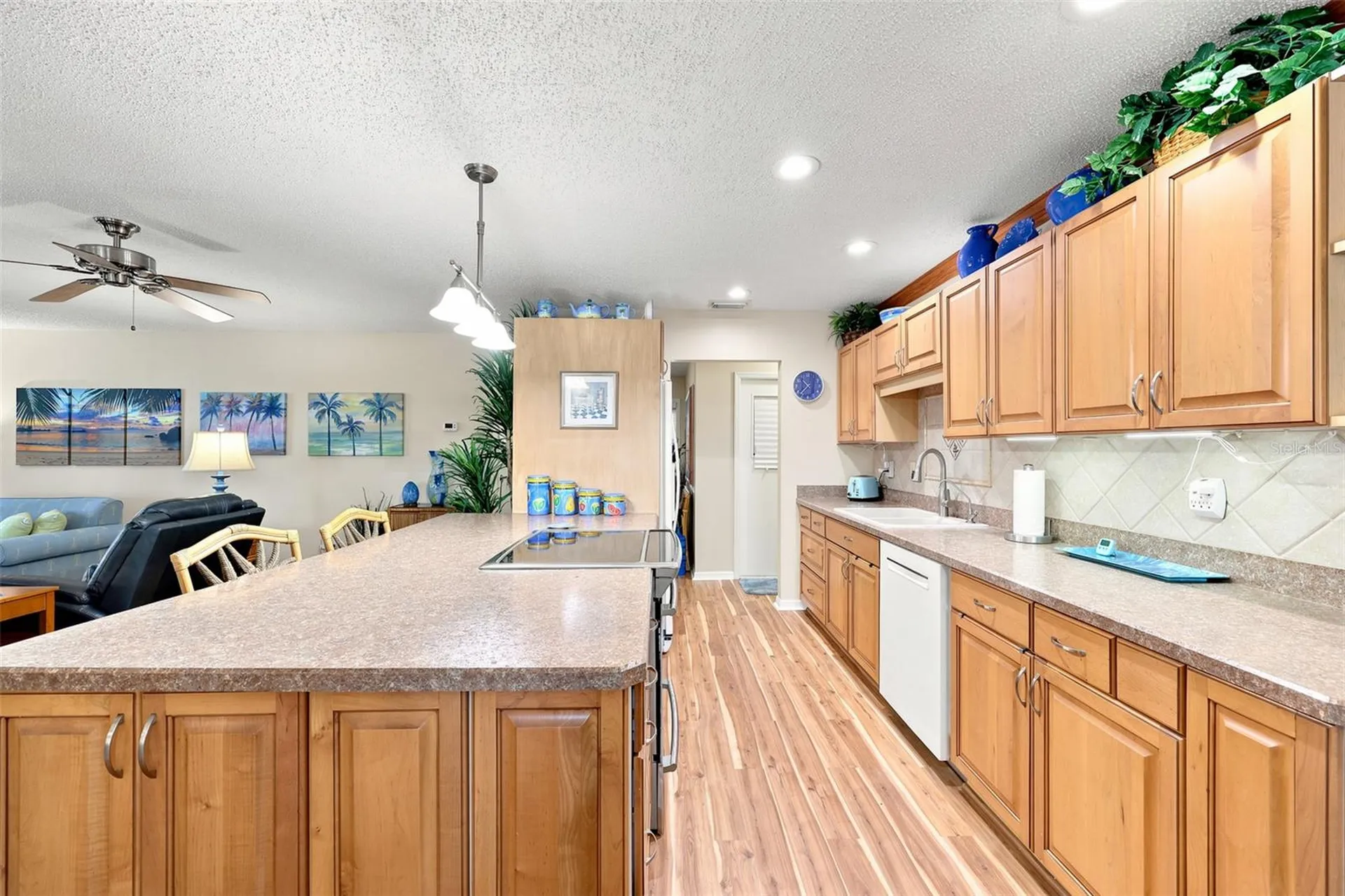 1002 El Rancho Drive Sun City Center FL 33573