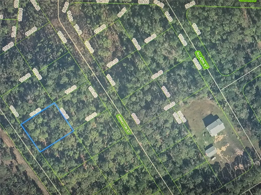 3160 Avocado Avenue Sebring FL 33875