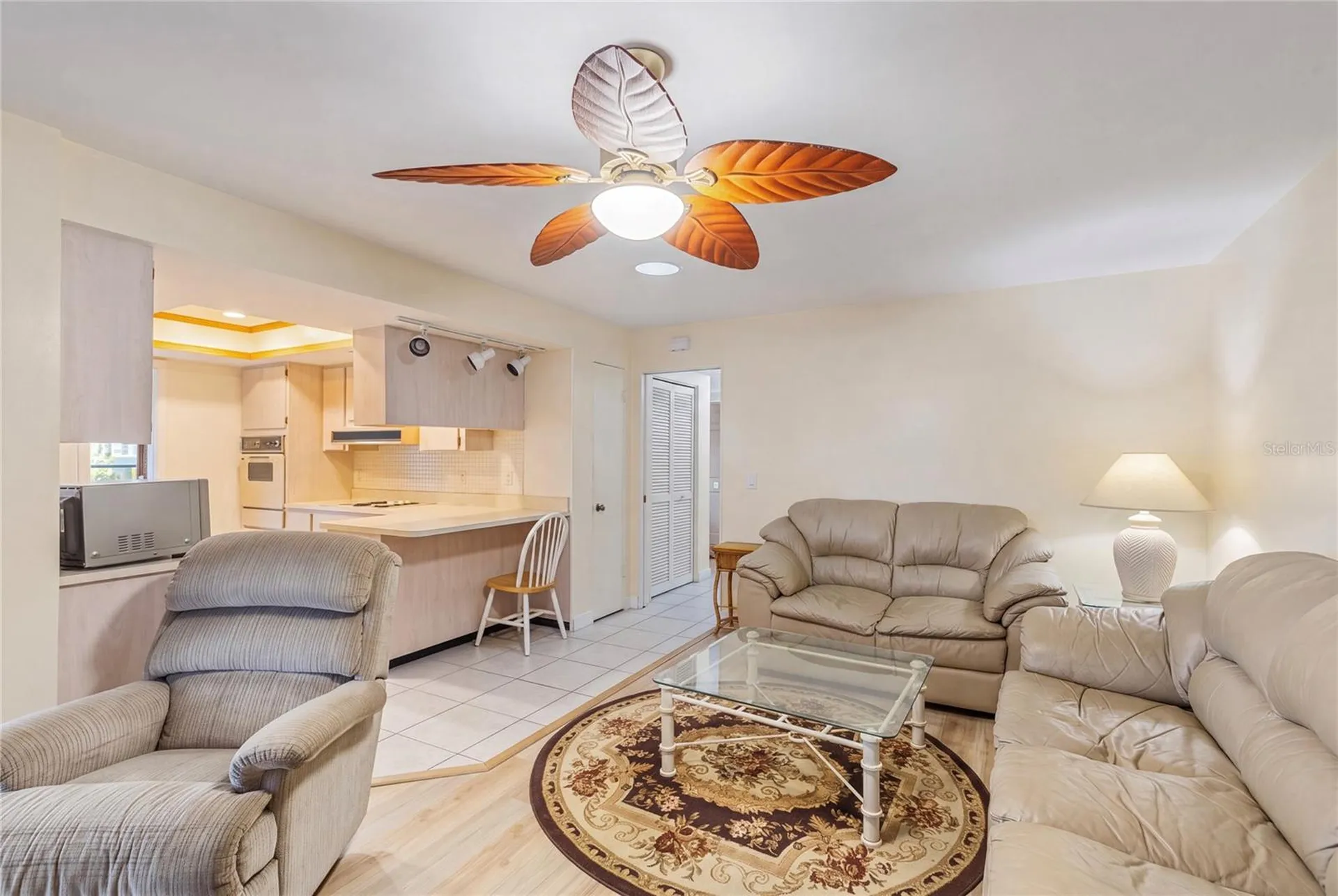 1081 Mcfarland Street Dunedin FL 34698